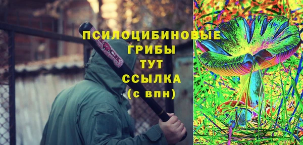 дмт Балахна