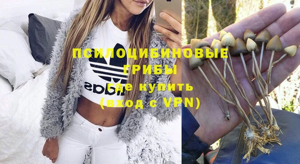спайс Армянск