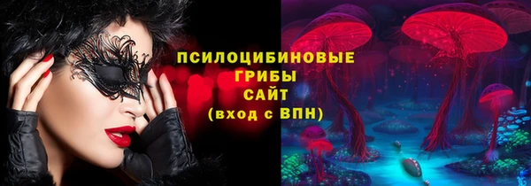 прущие крисы Арсеньев