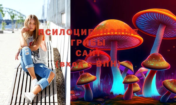 прущие крисы Арсеньев