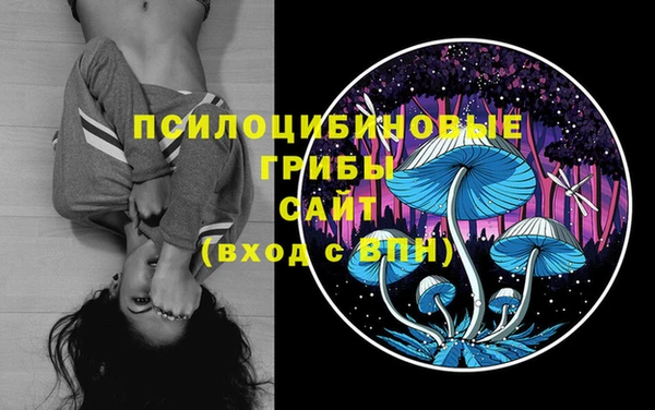 прущие крисы Арсеньев