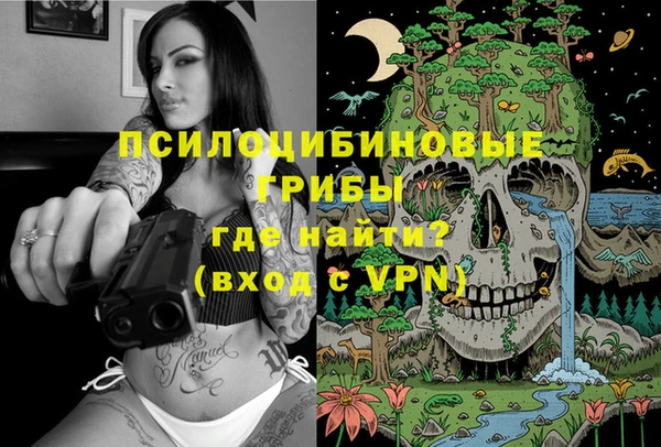 ECSTASY Сатка