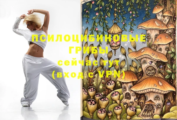 спайс Армянск