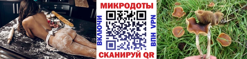 маркетплейс Telegram Порхов Галлюциногенные грибы MAGIC MUSHROOMS