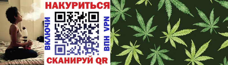 Каннабис семена Порхов
